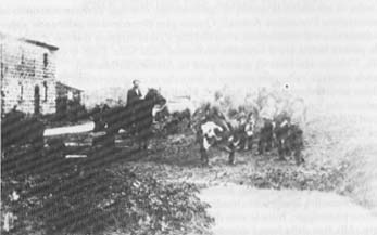 fotovarie008.jpg (14491 byte)