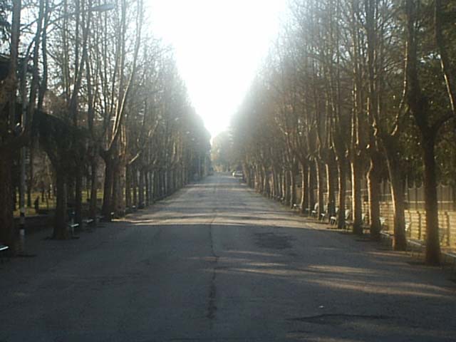 fotolamossa002.jpg (76066 byte)