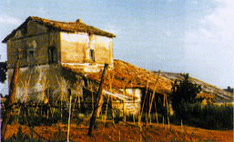 Foto Pag. 42.gif (34276 byte)