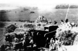 trebbiatura19451.jpg (17077 byte)