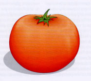 PUMMITORO.JPG (7338 byte)