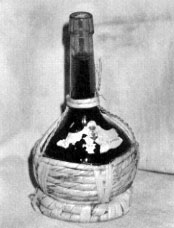 fotopag31.jpg (9976 byte)