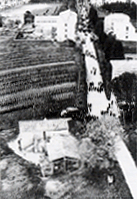 casalemarianibn.gif (32776 byte)