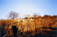 casaledialberico.gif (19496 byte)